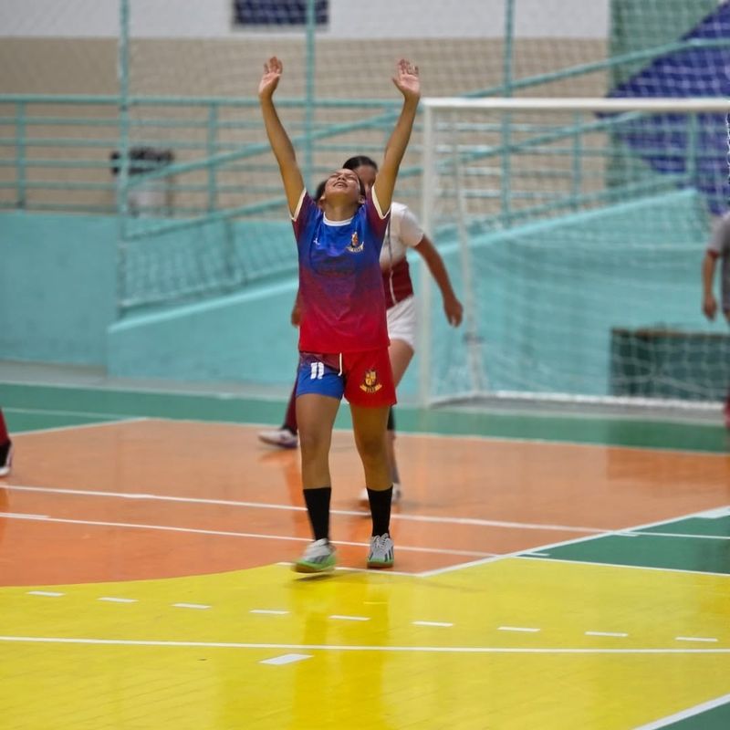 Imagem da galeria 42