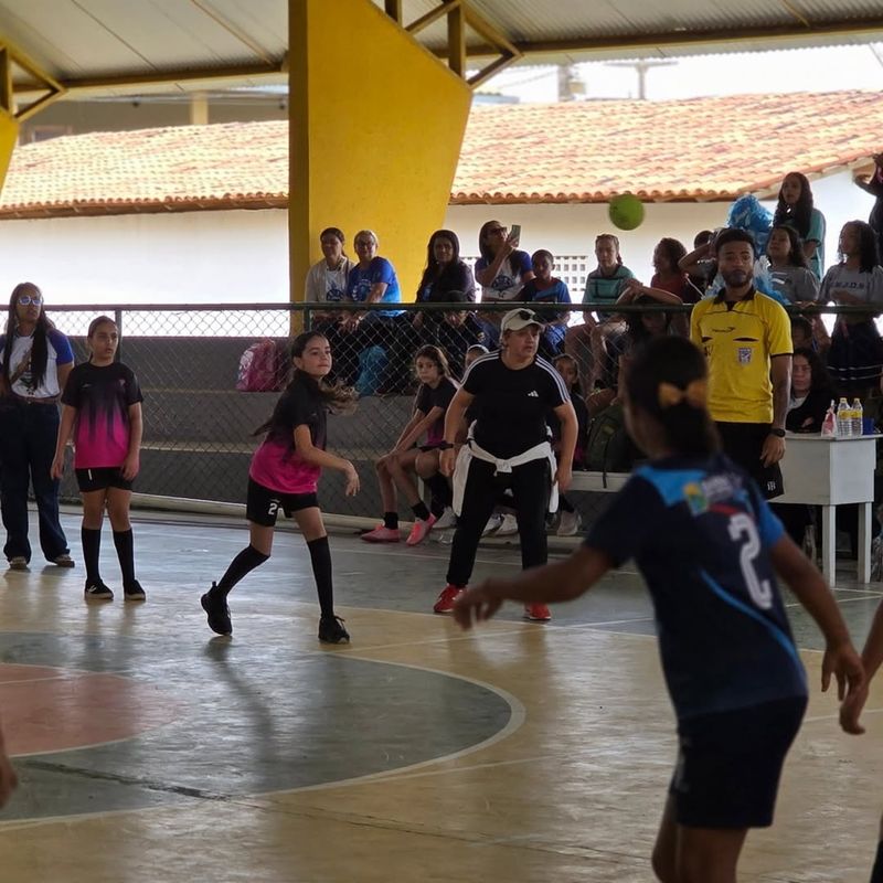 Imagem da galeria 30