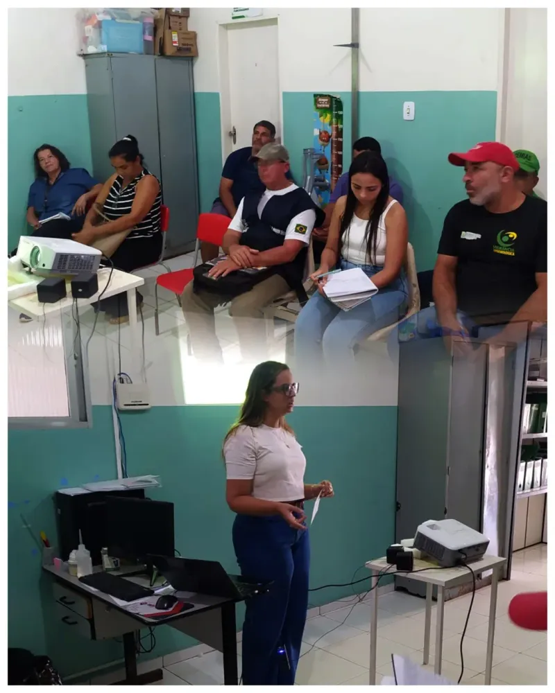 Imagem da galeria 1