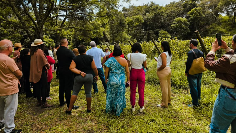 Fortalecimento do turismo e valorização das potencialidades de Barra do Choça